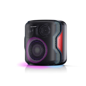 CASSE PORTATILI BLUETOOTH...